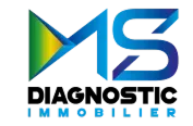 logo-ms diagnsotic